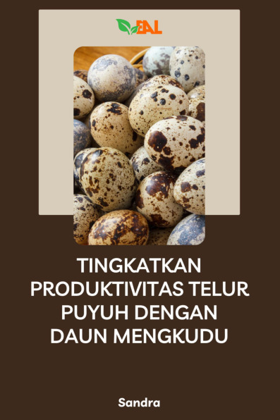 Sampul buku Tingkatkan Produktiv...